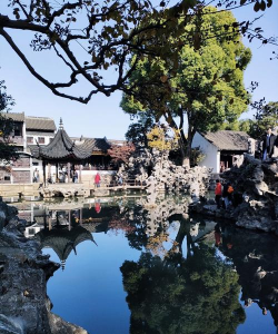 狮子林的景观特点是