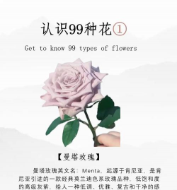 小众送妈妈的花有哪些花
