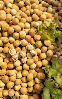 小众送妈妈的花有哪些花