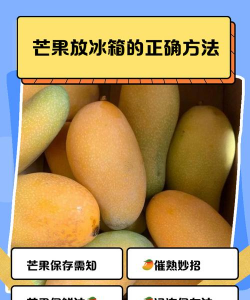 芒果可以放冰箱吗