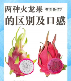 红心火龙果和白心火龙果的区别