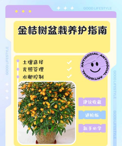 橘子种植后怎么保养呢