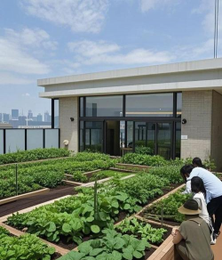 小众送妈妈的花有哪些花