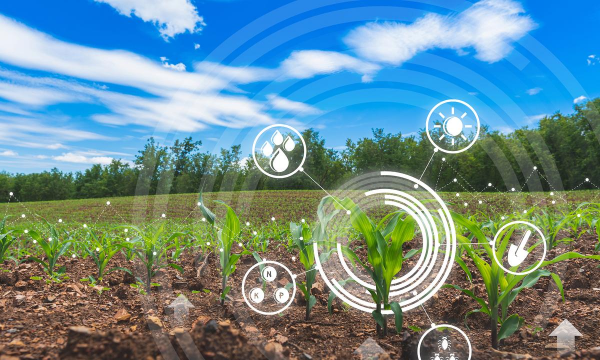 农业绿色发展包括哪三大系统 农业绿色发展包括哪三大系统