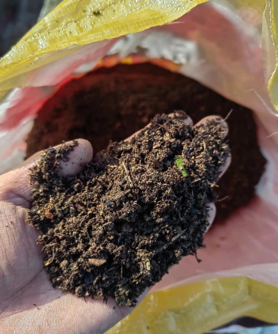 小众送妈妈的花有哪些花