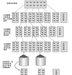 小众送妈妈的花有哪些花