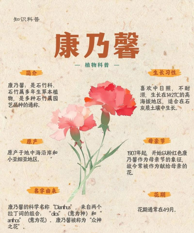 小众送妈妈的花有哪些花