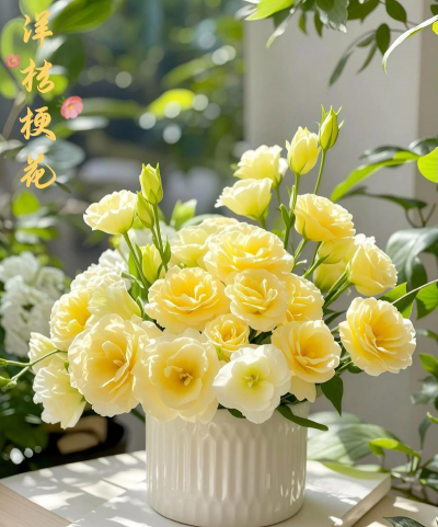 小众送妈妈的花有哪些花