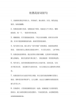 小众送妈妈的花有哪些花