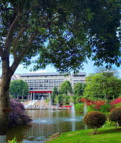 小众送妈妈的花有哪些花