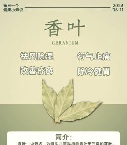 香菜红叶打什么药 香菜红叶打什么药