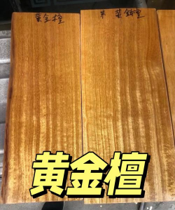 黄金檀是什么木头