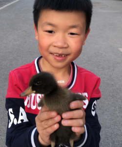 小众送妈妈的花有哪些花