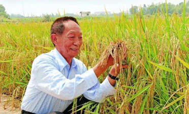 小众送妈妈的花有哪些花