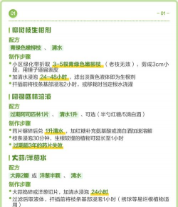 小众送妈妈的花有哪些花