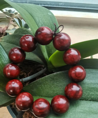 小众送妈妈的花有哪些花