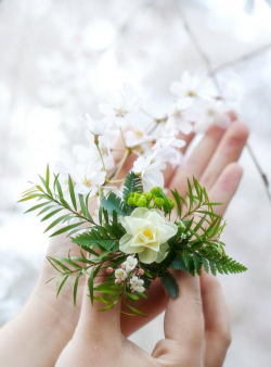 小众送妈妈的花有哪些花