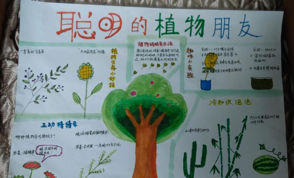 小众送妈妈的花有哪些花