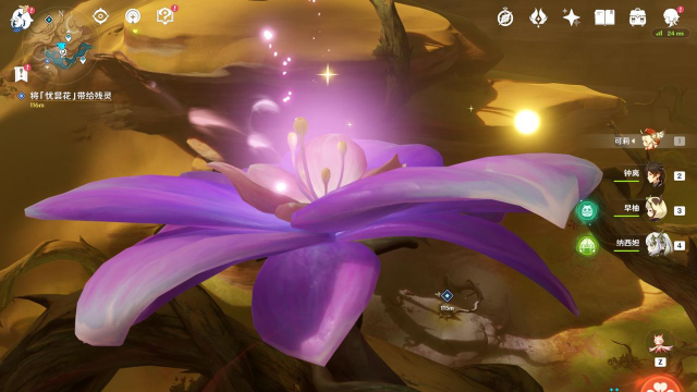 小众送妈妈的花有哪些花