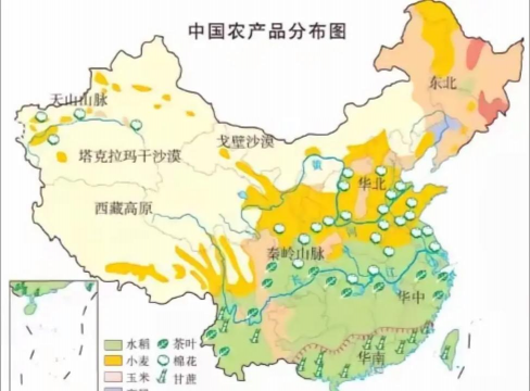 小众送妈妈的花有哪些花