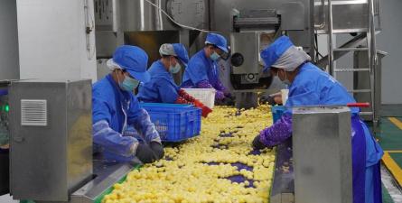 小众送妈妈的花有哪些花