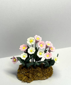 小众送妈妈的花有哪些花