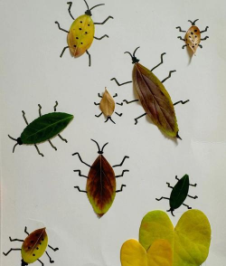 小众送妈妈的花有哪些花