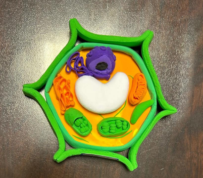 小众送妈妈的花有哪些花