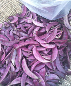 小众送妈妈的花有哪些花