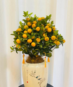 小众送妈妈的花有哪些花