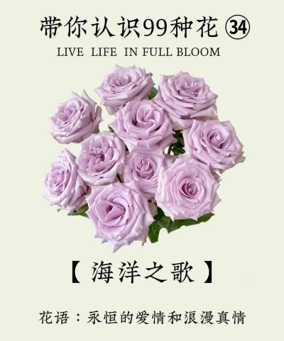 小众送妈妈的花有哪些花