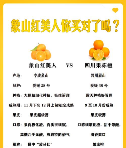 种植柑橘项目介绍怎么写