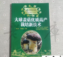 大球盖菇高产栽培技术