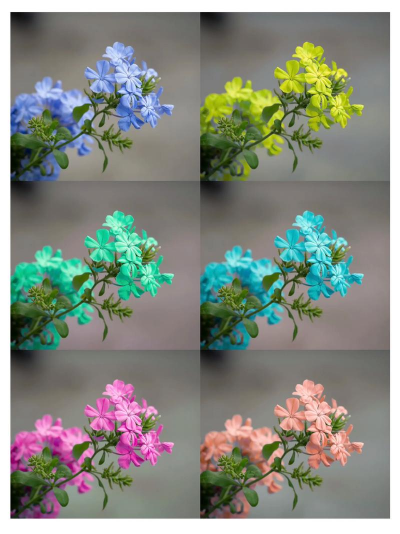 小众送妈妈的花有哪些花