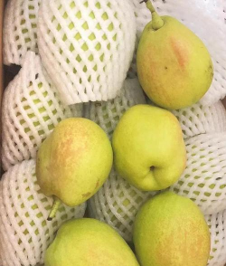 最贵最甜是什么梨品种