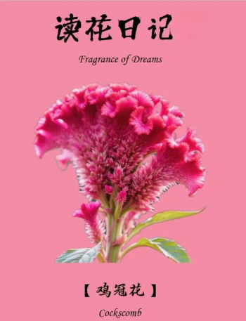 小众送妈妈的花有哪些花