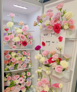 能放冰箱里的花有哪些 能放冰箱里的花有哪些