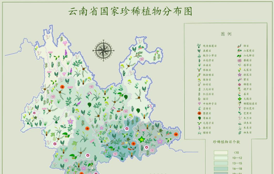 小众送妈妈的花有哪些花
