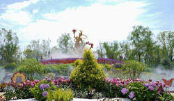 小众送妈妈的花有哪些花