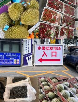 小众送妈妈的花有哪些花