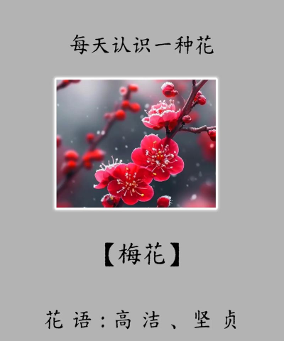小众送妈妈的花有哪些花