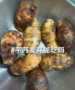 芋艿发芽能吃吗