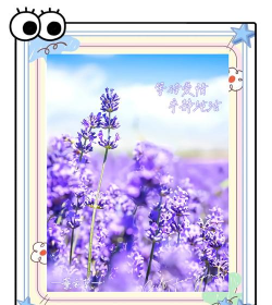 小众送妈妈的花有哪些花