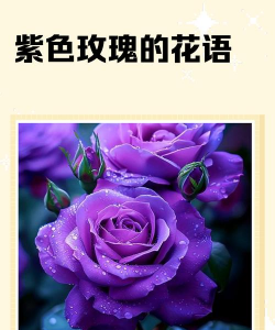 小众送妈妈的花有哪些花