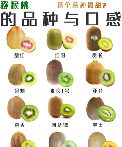 猕猴桃的品种有哪些