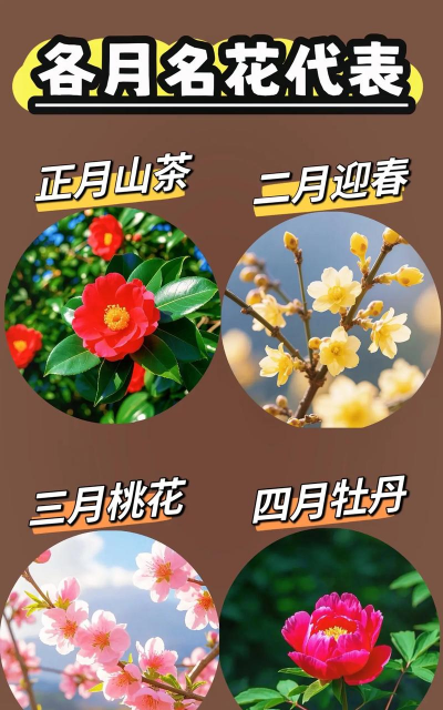 小众送妈妈的花有哪些花