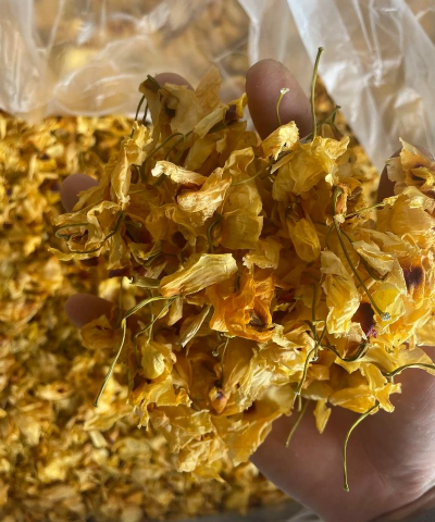 小众送妈妈的花有哪些花