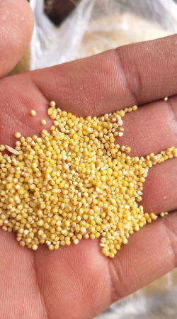 小众送妈妈的花有哪些花