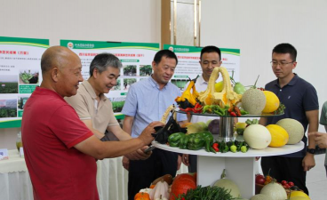 小众送妈妈的花有哪些花