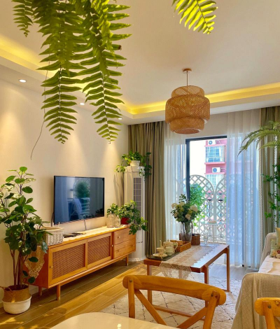 装修后放什么植物好